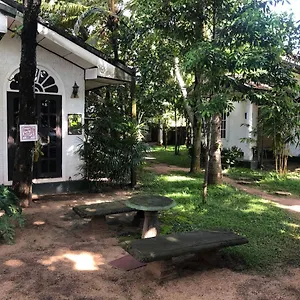 https://sylvester-villa-hostel-negombo.negombohotels.net